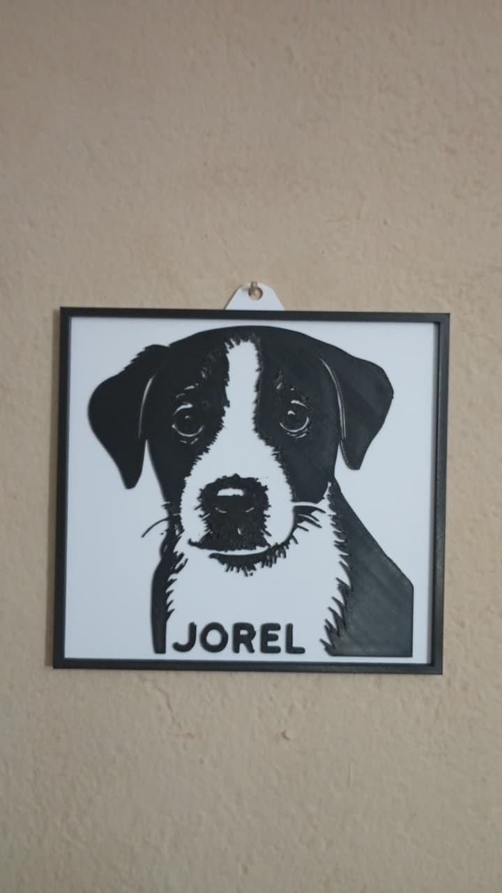 Quadro 3D do pet Jorel montado na parede de um cliente